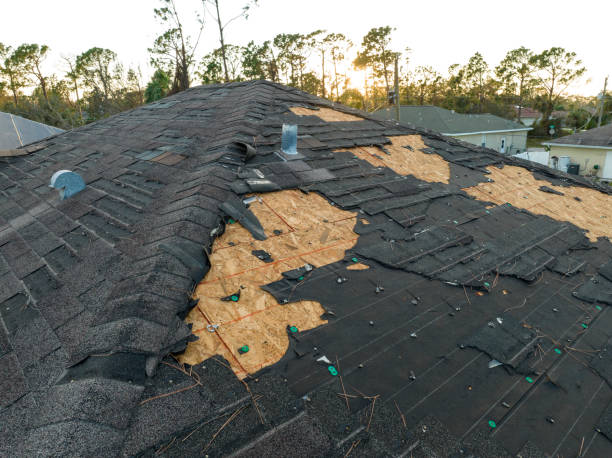 Best Solar Panel Roofing Installation  in Kitty Hawk, NC